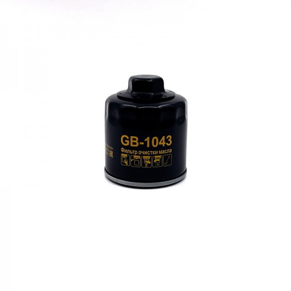 BIG FILTER GB-1043