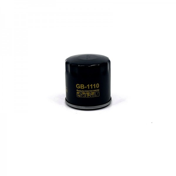 BIG FILTER GB-1110