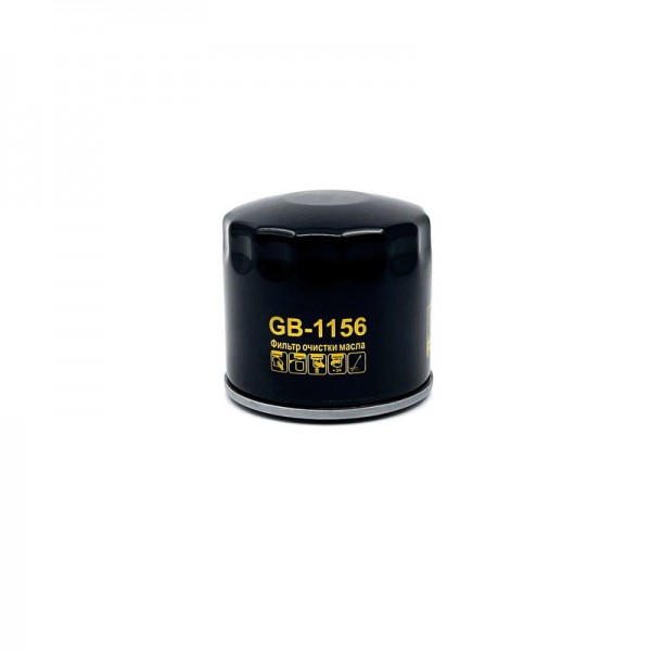 BIG FILTER GB-1156