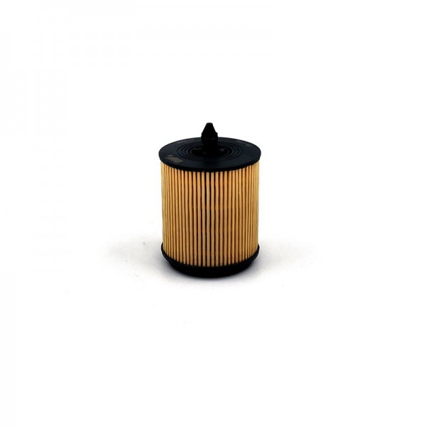 BIG FILTER GB-1194