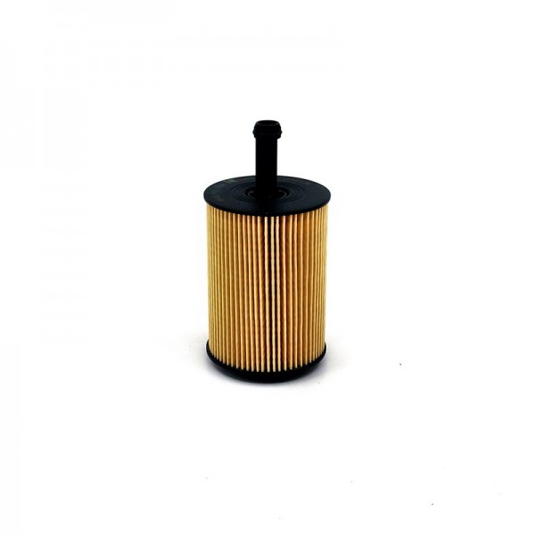 BIG FILTER GB-1196
