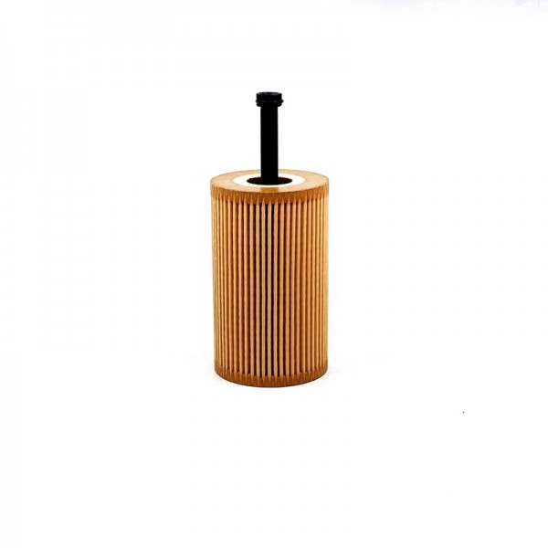 BIG FILTER GB-1197