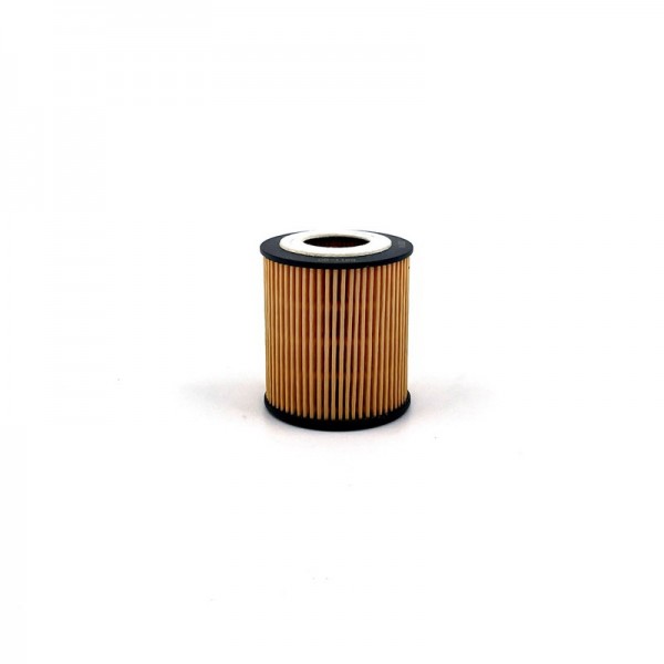 BIG FILTER GB-1198