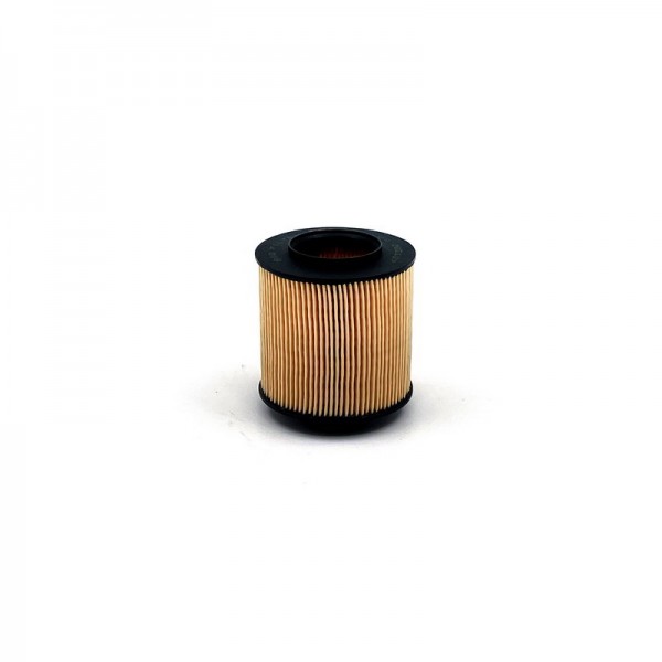 BIG FILTER GB-1199