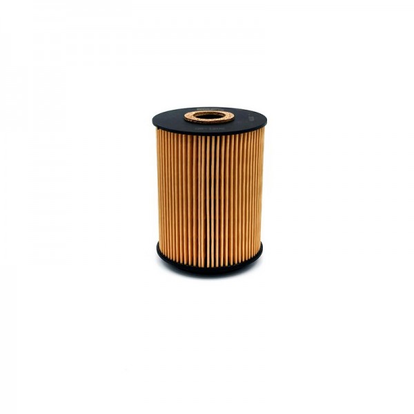 BIG FILTER GB-1209