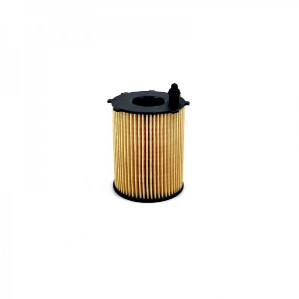 BIG FILTER GB-1211