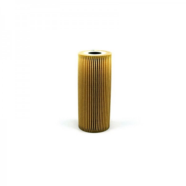 BIG FILTER GB-1212