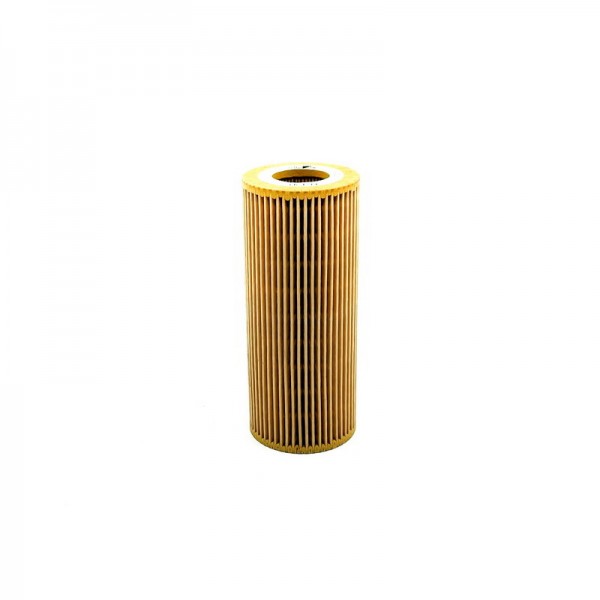 BIG FILTER GB-1213