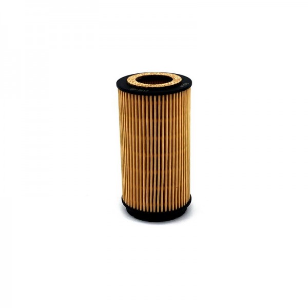BIG FILTER GB-1217