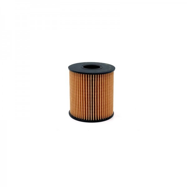 BIG FILTER GB-1219