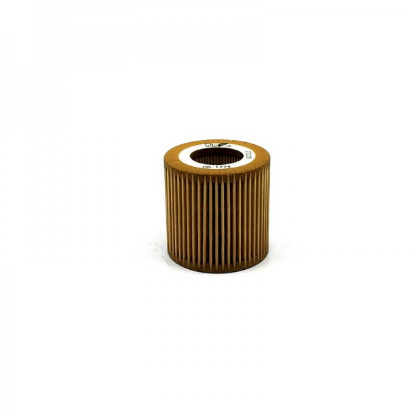 BIG FILTER GB-1224