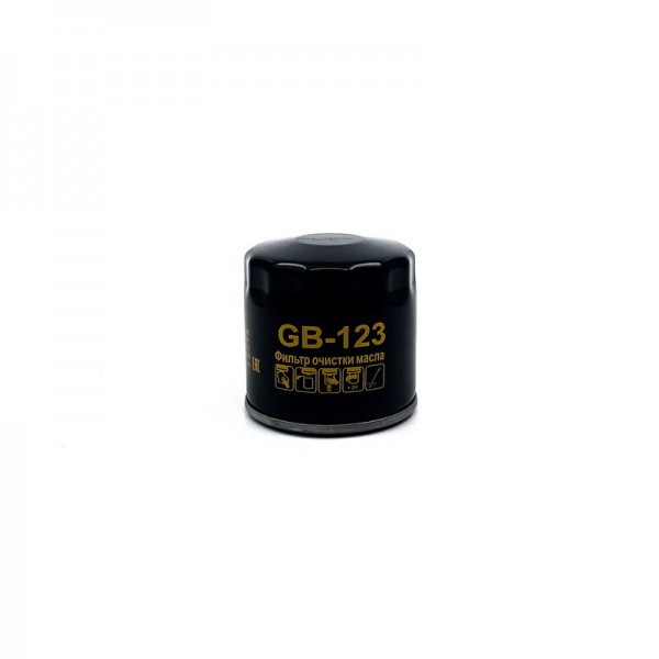 BIG FILTER GB-123