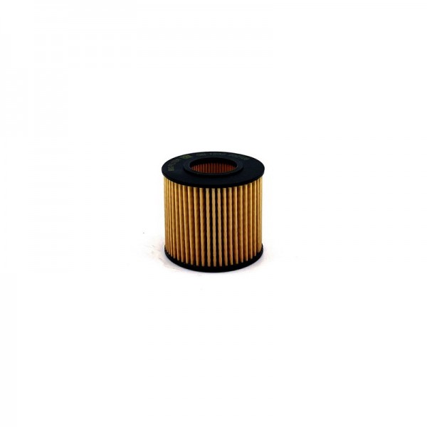 BIG FILTER GB-1232