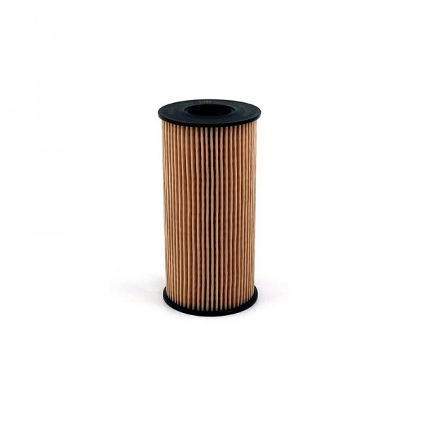 BIG FILTER GB-1233