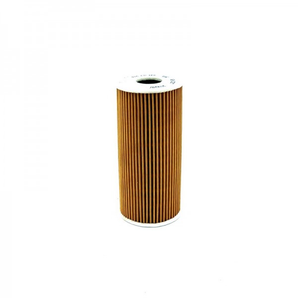 BIG FILTER GB-1267