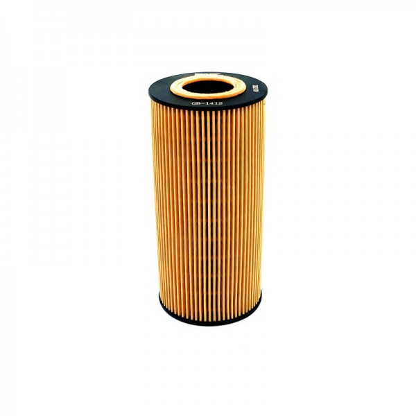 BIG FILTER GB-1412