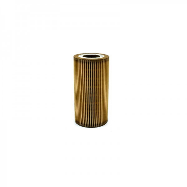 BIG FILTER GB-1438
