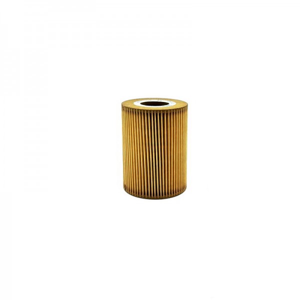 BIG FILTER GB-1441