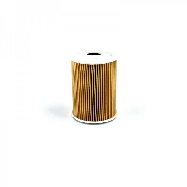 BIG FILTER GB-1442