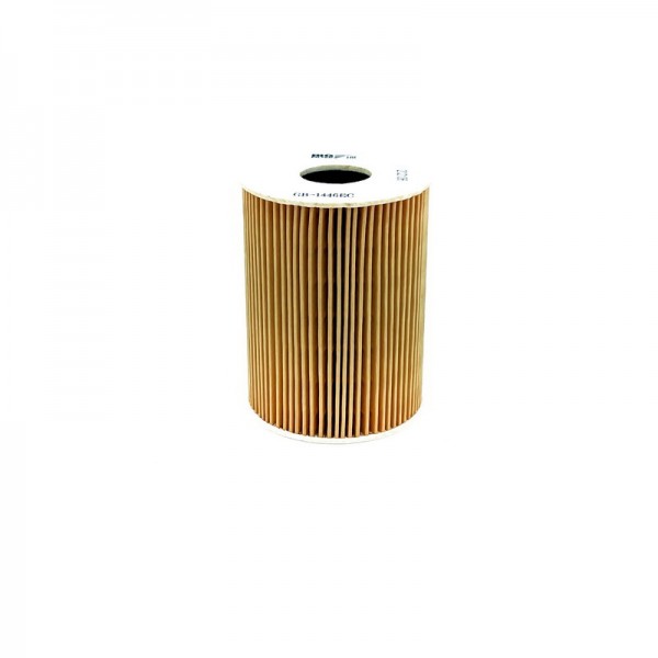 BIG FILTER GB-1446EC