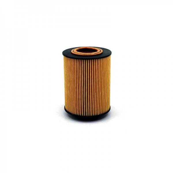 BIG FILTER GB-1461EC