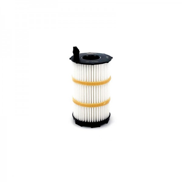 BIG FILTER GB-1466EC