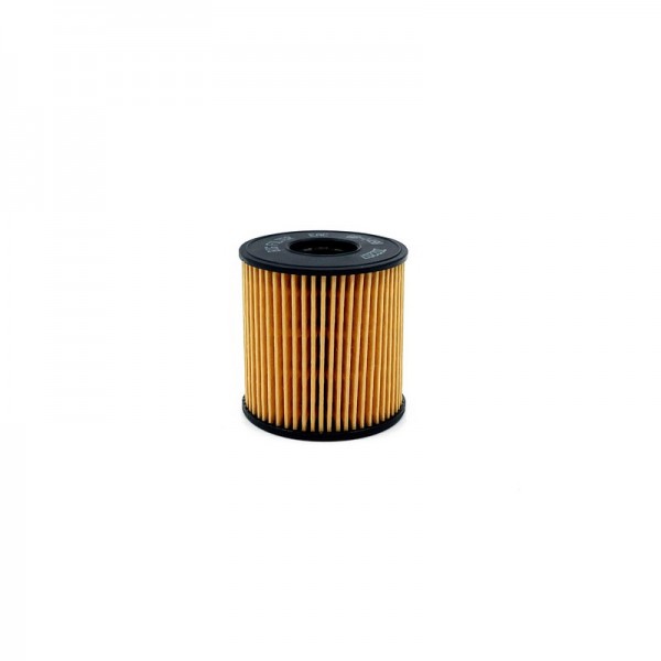 BIG FILTER GB-1498