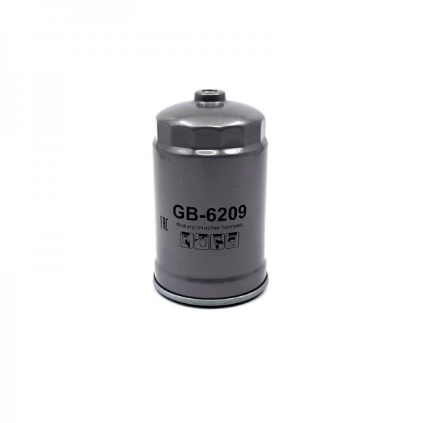BIG FILTER GB-6209