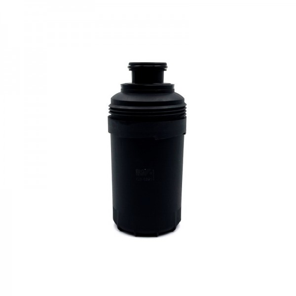 BIG FILTER GB-6223