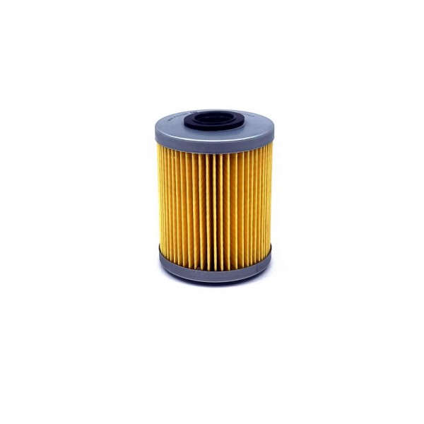 BIG FILTER GB-6421