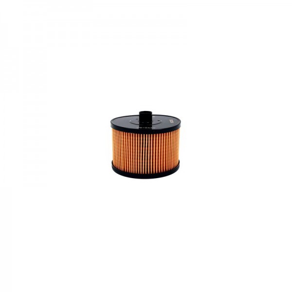 BIG FILTER GB-6430