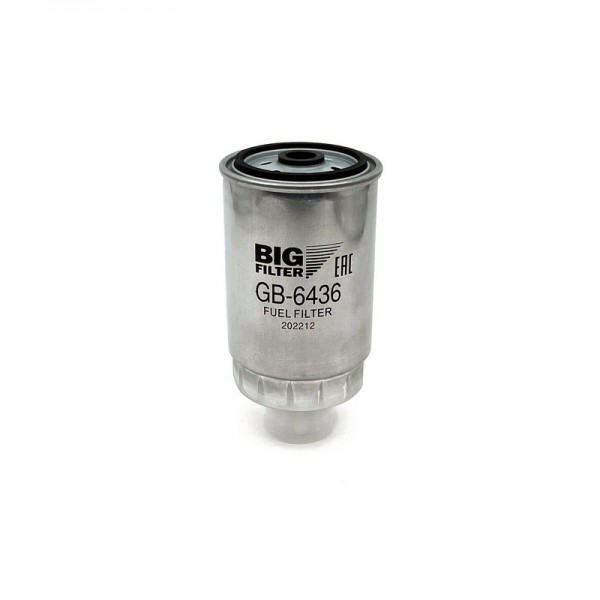 BIG FILTER GB-6436