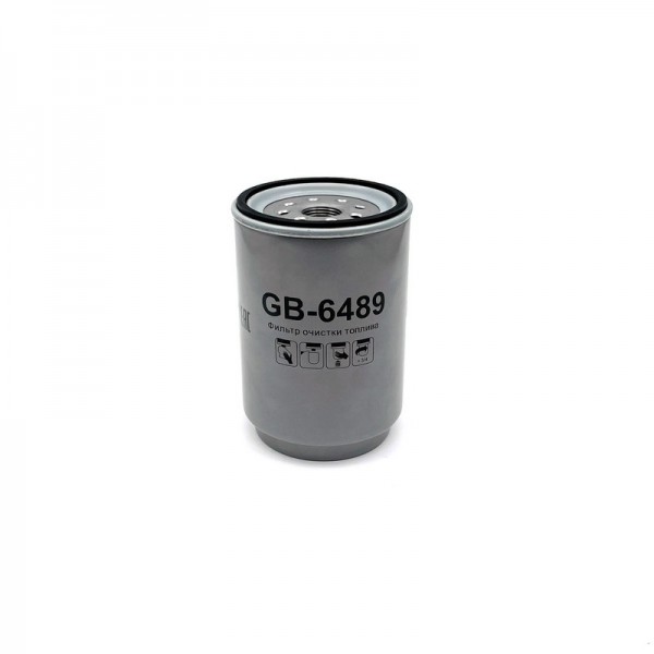 BIG FILTER GB-6489