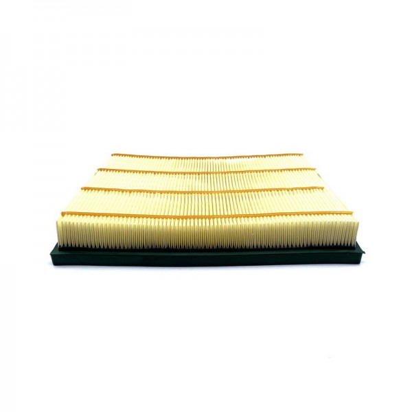 BIG FILTER GB-916