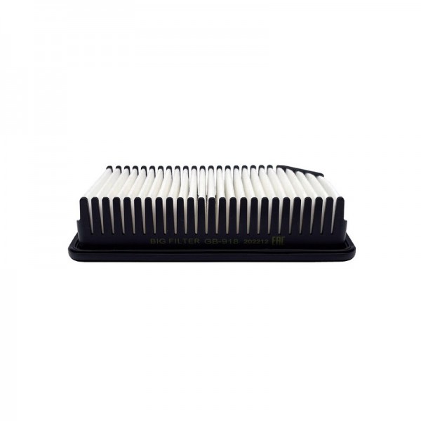 BIG FILTER GB-918