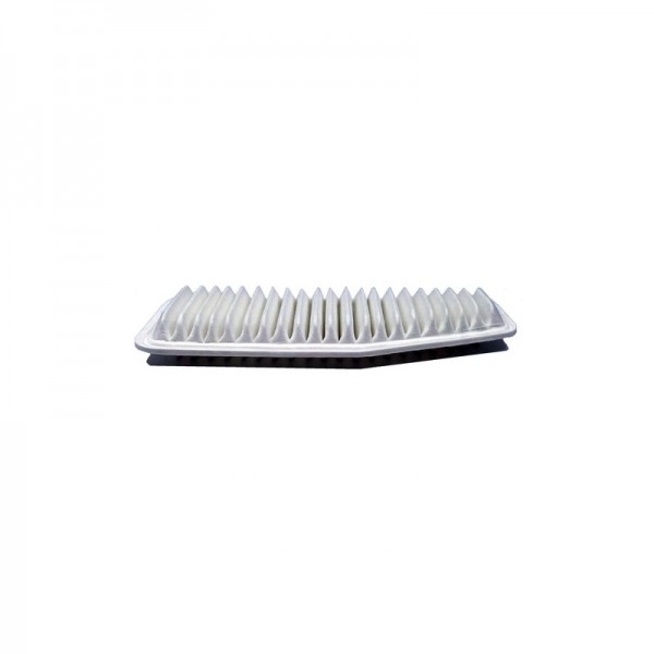 BIG FILTER GB-919