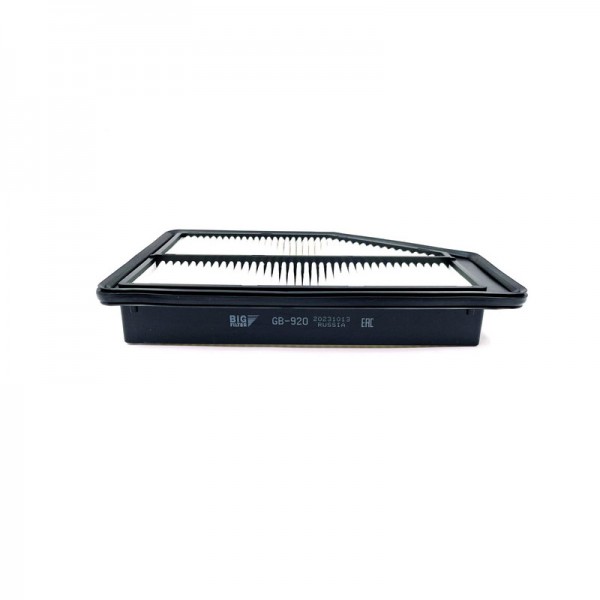BIG FILTER GB-920