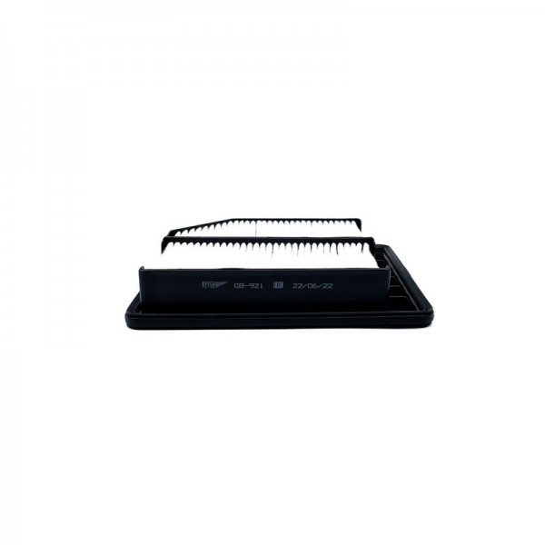 BIG FILTER GB-921