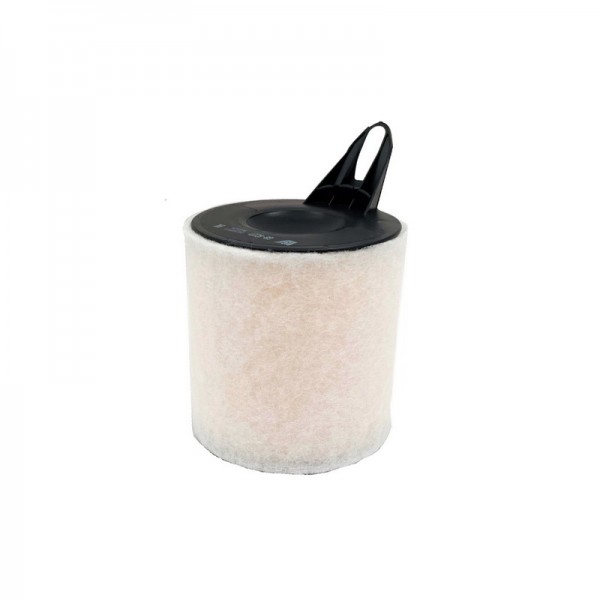 BIG FILTER GB-9227