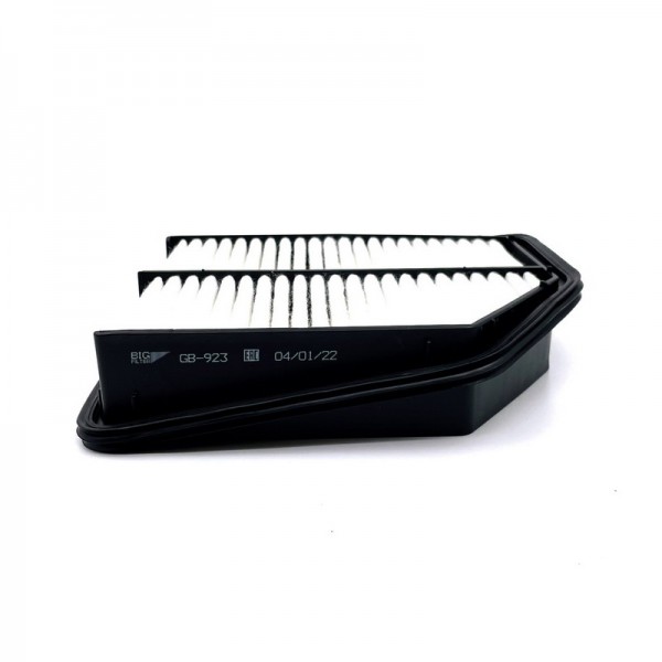 BIG FILTER GB-923