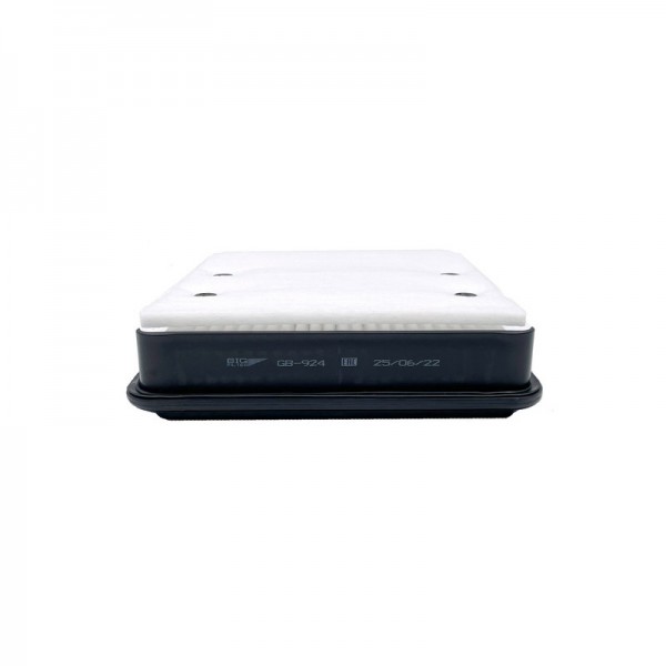 BIG FILTER GB-924
