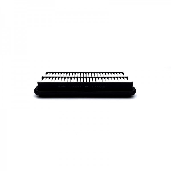 BIG FILTER GB-933