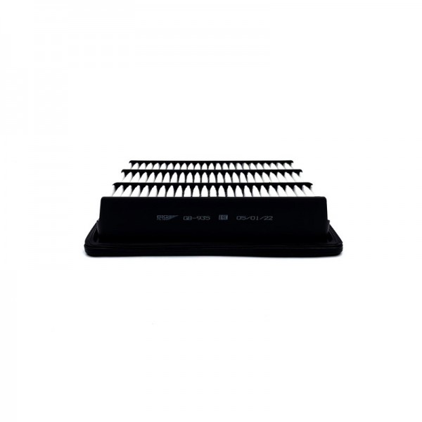 BIG FILTER GB-935