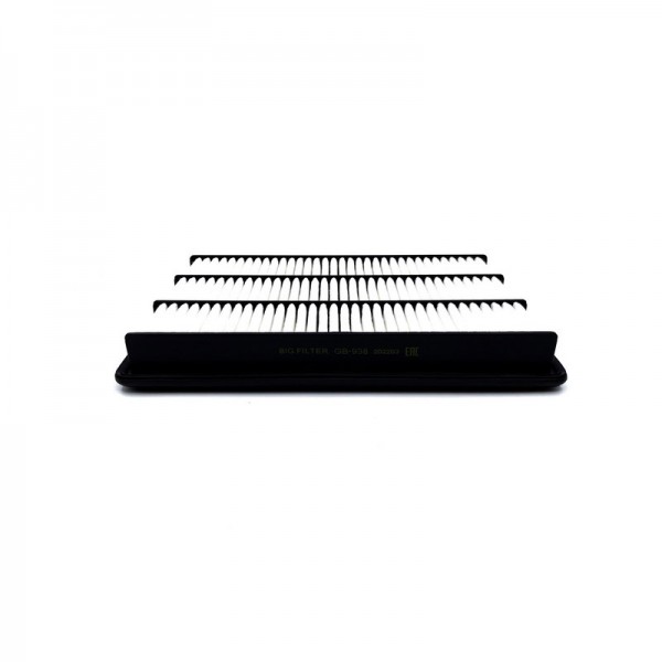BIG FILTER GB-938