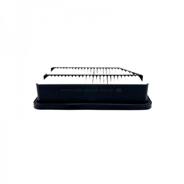 BIG FILTER GB-948