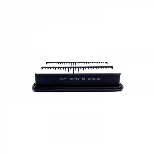 BIG FILTER GB-950