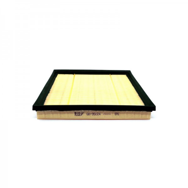 BIG FILTER GB-95024