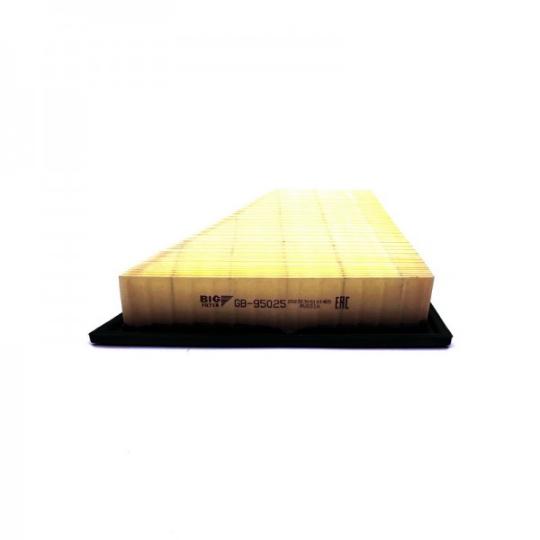 BIG FILTER GB-95025