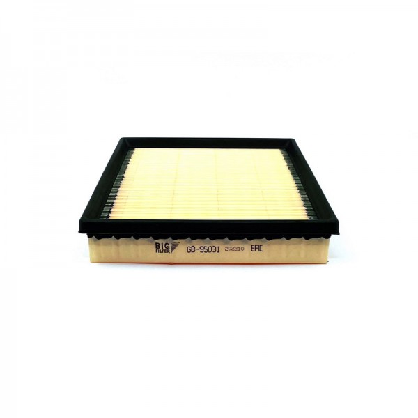 BIG FILTER GB-95031