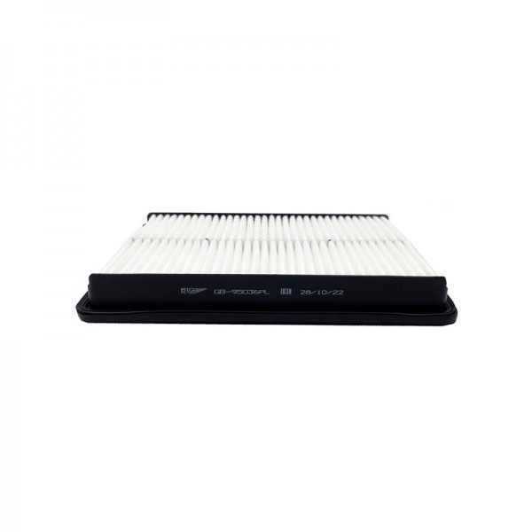 BIG FILTER GB-95036PL